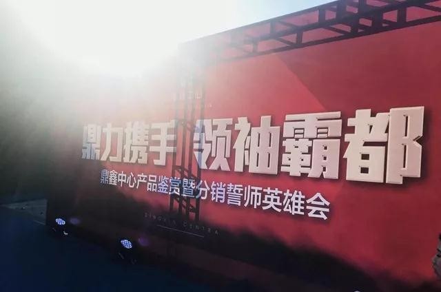 鼎力攜手，領(lǐng)袖霸都！合肥鼎鑫中心產(chǎn)品鑒賞暨分銷(xiāo)誓師英雄會(huì)圓滿落幕！