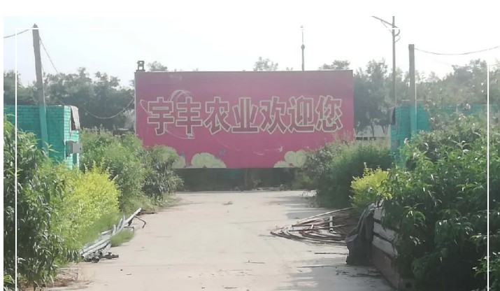 建一個(gè)市場(chǎng)、興一方產(chǎn)業(yè)、富一方百姓，孝義農(nóng)產(chǎn)品大市場(chǎng)產(chǎn)供銷一體化在行動(dòng)！