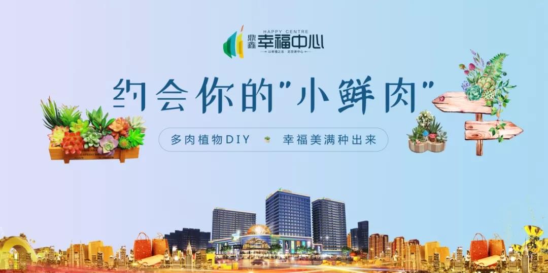 約會你的“小鮮肉” 多肉植物DIY，幸福美滿種出來
