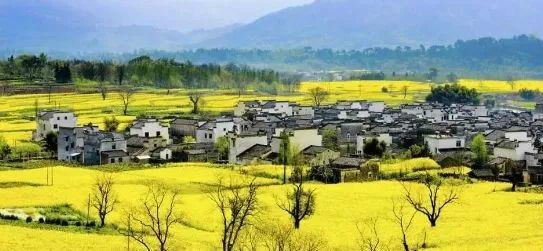 國務院總理李強：全面推進鄉(xiāng)村振興要關注三個關鍵詞
