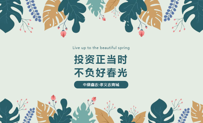 孝義唯一大產權的農批商鋪，投資有保障！